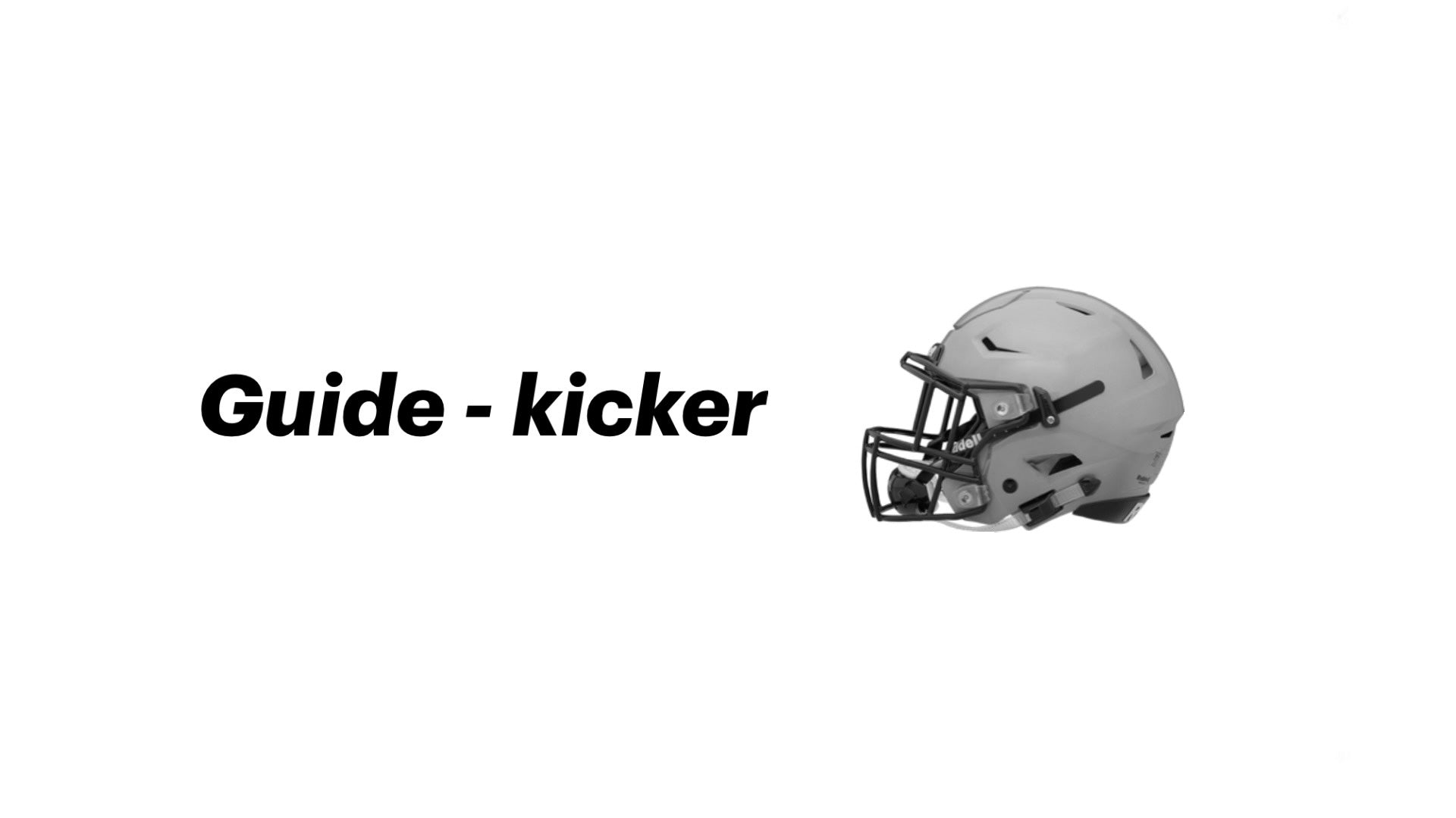 Guide - kicker